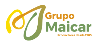 Mi tienda